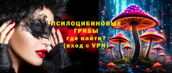 гашик Лиски
