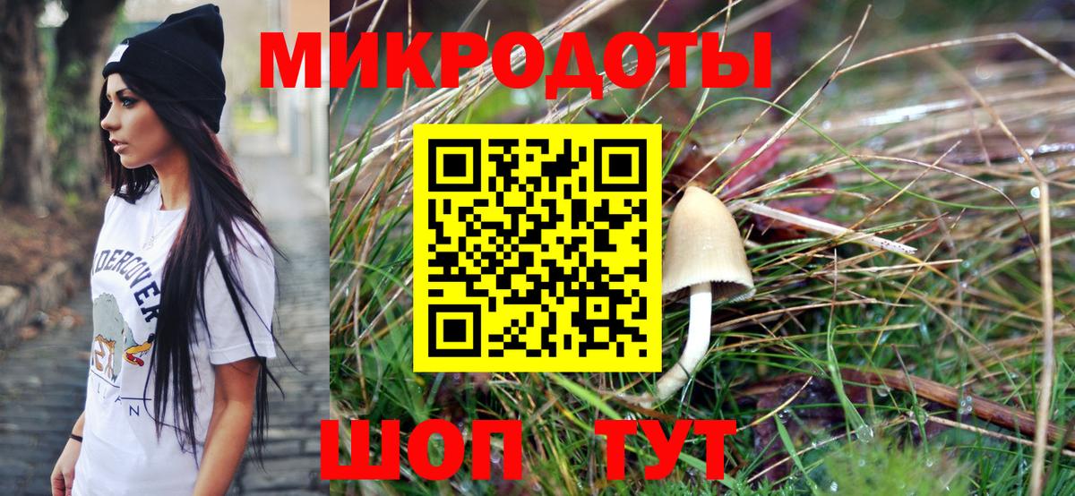 Псилоцибиновые грибы Cubensis Барнаул