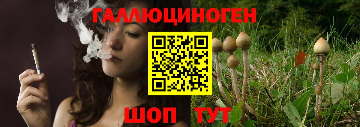Барнаул  Псилоцибиновые грибы Psilocybe  Галлюциногенные грибы мухоморы  Вход с VPN 